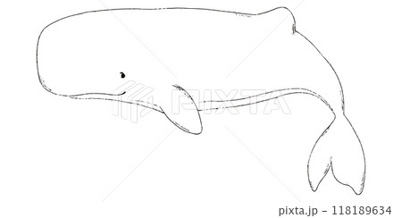 マッコウクジラの手描きのイラスト　線画のみ 118189634