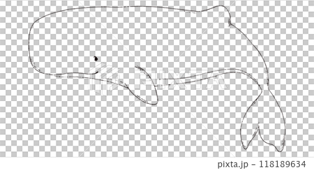 マッコウクジラの手描きのイラスト　線画のみ 118189634