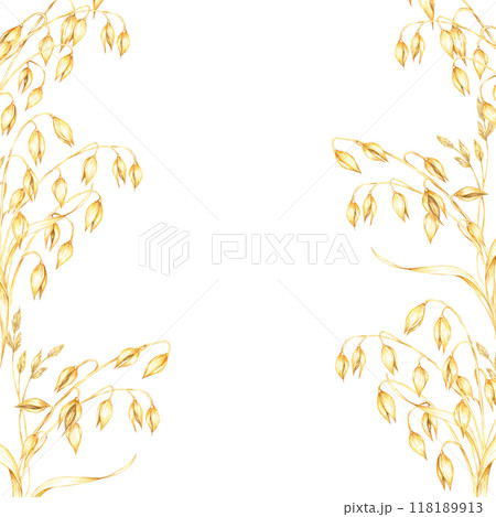 Oat stems and dry herbs square frame with multiple golden-yellow grains and dry leaves. Watercolor clipart design for healthy food branding, eco-friendly packaging, or natural wellness products 118189913