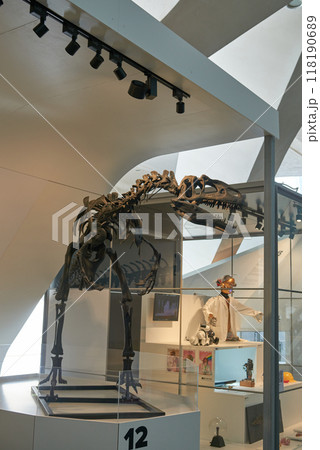Awe-Inspiring Carnivorous Dinosaur Skeleton Towering in Natural History Museum Exhibit Captivates Visitors of All Ages. Majestic Prehistoric Predator Fossil Displayed in World-Renowned Paleontological 118190689