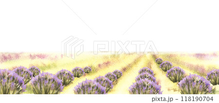 Landscape. Lavender fields of Provence in bloom. Blooming lilac lavender bushes. Watercolor Italy, France summer. Rustic scene for Poster, label, card print. Hand draw illustration. Isolated 118190704