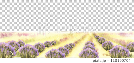 Landscape. Lavender fields of Provence in bloom. Blooming lilac lavender bushes. Watercolor Italy, France summer. Rustic scene for Poster, label, card print. Hand draw illustration. Isolated 118190704