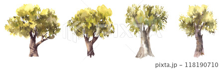 Deciduous green trees set. Hand painted watercolor illustration. Silhouettes of leafy bushes, oak, linden, olive, alder or beech tree for your botanical or landscape design. Isolated from background 118190710
