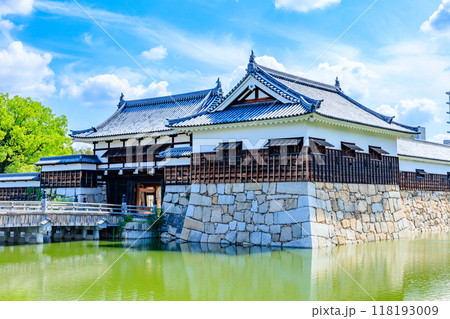 夏の広島城　表御門　広島県広島市 118193009