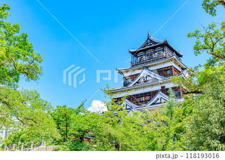 夏の広島城　広島県広島市 118193016