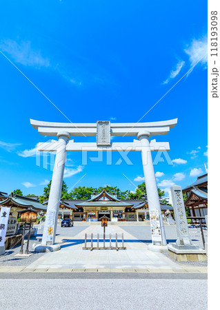 夏の広島護国神社　広島県広島市 118193098
