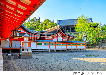夏の嚴島神社 干潮時 広島県廿日市市 夏の嚴島神社 干潮時 広島県廿日市市 118193488