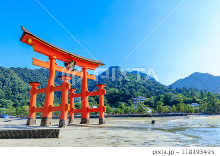夏の嚴島神社 干潮時 広島県廿日市市 夏の嚴島神社 干潮時 広島県廿日市市 118193495