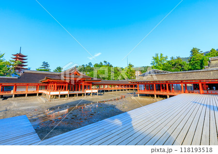 夏の嚴島神社 干潮時 広島県廿日市市 夏の嚴島神社 干潮時 広島県廿日市市 118193518