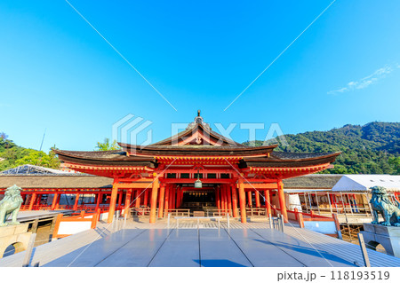 夏の嚴島神社　干潮時　広島県廿日市市 118193519