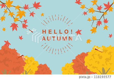 秋イメージ　紅葉風景の背景素材 118193577