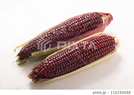 大和ルージュ 赤いスイートコーン 大和ルージュ 赤いスイートコーン 118193688