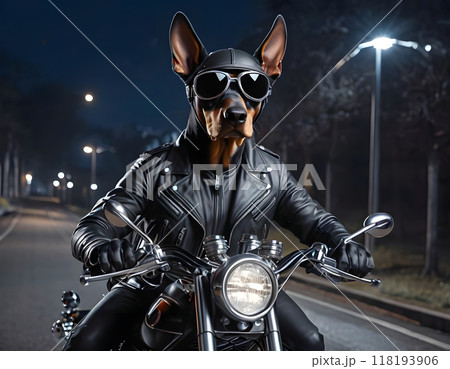A brutal dog in sunglasses and a leather jacket rides a motorcycle outdoors. Generative AI. A brutal dog in sunglasses and a leather jacket rides a motorcycle outdoors. Generative AI. 118193906
