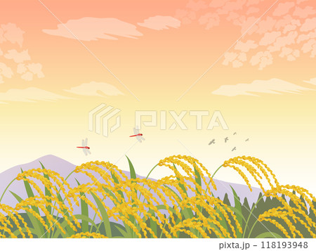 稲穂と秋の風景_イメージ背景 118193948