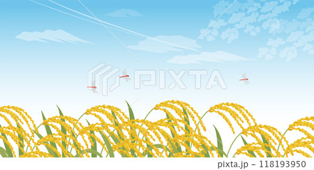 稲穂と青空の背景_ベクターイラスト(2:1) 稲穂と青空の背景_ベクターイラスト(2:1) 118193950
