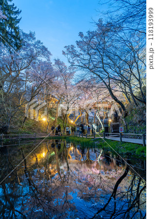 長野県伊那市 天下第一の桜と言われる池越しの高遠城址公園満開の夜桜 長野県伊那市 天下第一の桜と言われる池越しの高遠城址公園満開の夜桜 118193999