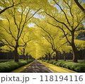 イチョウ並木 118194116