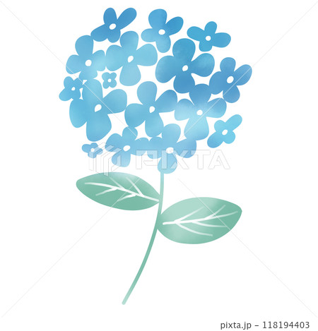 水彩風　紫陽花のイラスト 118194403