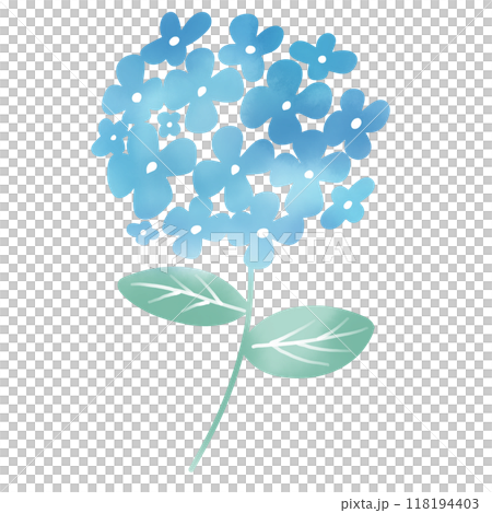 水彩風　紫陽花のイラスト 118194403