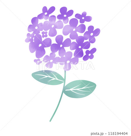 水彩風　紫陽花のイラスト 118194404