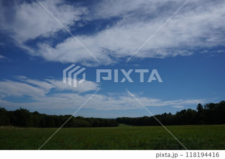 北海道の夏の風景　雄大な牧草地 118194416