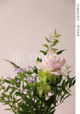 クルクマのアレンジ 118194813