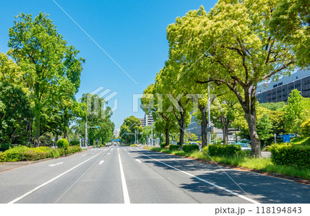 名古屋城周辺町並み 名古屋城前交差点付近 名古屋城周辺町並み 名古屋城前交差点付近 118194843