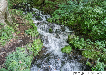 【たんばら　強清水の滝】 118195288