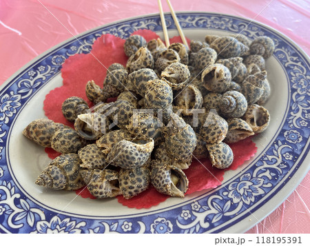 法螺貝 ホラ貝 ほら貝 118195391