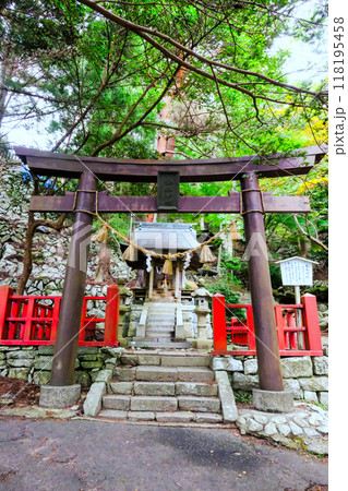 金椿神社(縦) 金椿神社(縦) 118195458
