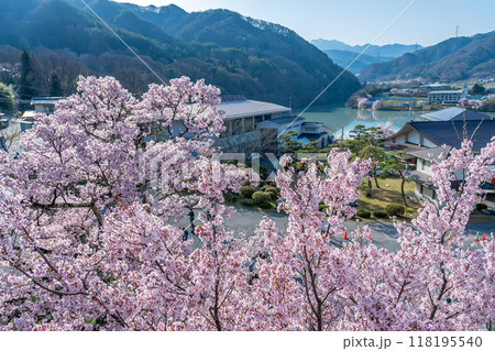 長野県伊那市 天下第一の桜と言われる高遠城址公園の高遠町歴史博物館と高遠湖の眺め 長野県伊那市 天下第一の桜と言われる高遠城址公園の高遠町歴史博物館と高遠湖の眺め 118195540