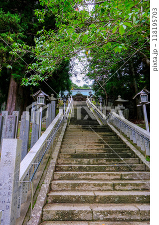 拝殿に続く参道(縦) 拝殿に続く参道(縦) 118195703
