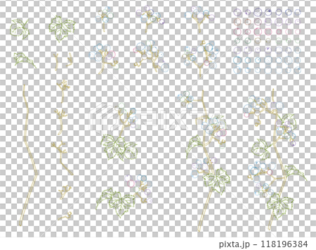 Wild grape line drawing set_color Wild grape line drawing set_color 118196384