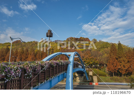 Seoul South Korea of ladder walkway to Haneul Park in autumn 118196670