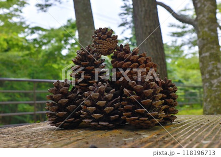 自然が生み出すアート、松ぼっくりの魅力 自然が生み出すアート、松ぼっくりの魅力 118196713