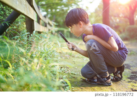 虫眼鏡を覗く少年 虫眼鏡を覗く少年 118196772