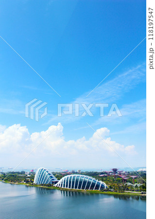 シンガポール・フライヤーから望むガーデンズ・バイ・ザ・ベイ シンガポール・フライヤーから望むガーデンズ・バイ・ザ・ベイ 118197547