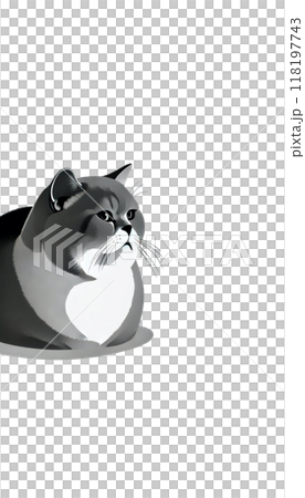 A monotone image of a British Shorthair from the UK. It has a round face and a thick neck, and is calm and gentle. 118197743