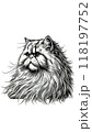 イランのペルシャのモノトーン画像。長毛でふさふさした顔が特徴。 118197752
