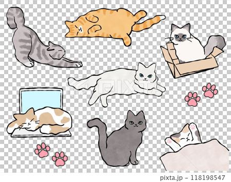 猫のイラストセット ベクター 猫のイラストセット ベクター 118198547