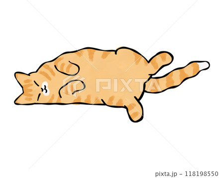 茶トラ 猫のイラスト ベクター 茶トラ 猫のイラスト ベクター 118198550