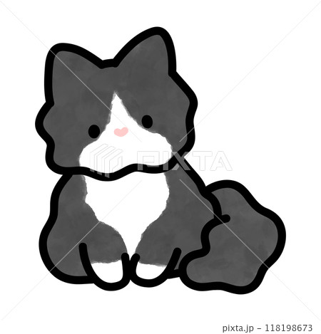 ハチワレ　子猫のイラスト　ベクター 118198673