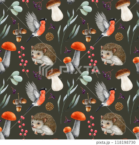 Cute hedgehog, forest nature elements seamless pattern. Watercolor vintage style illustration. Forest wildlife animal, bullfinch, mushrooms, leaves seamless pattern design on dark background Cute hedgehog, forest nature elements seamless pattern. Watercolor vintage style illustration. Forest wildlife animal, bullfinch, mushrooms, leaves seamless pattern design on dark background 118198730