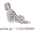 アメショ　グレー　猫のイラスト　ベクター 118198960