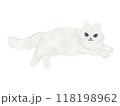 白猫　猫のイラスト　ベクター 118198962