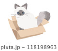 ダンボールに入るヒマラヤン　猫のイラスト　ベクター 118198963