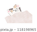 寝ている三毛猫　猫のイラスト　ベクター 118198965
