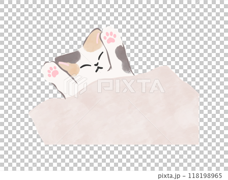Sleeping calico cat Cat illustration Vector Sleeping calico cat Cat illustration Vector 118198965