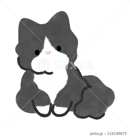 ハチワレ　子猫のイラスト　ベクター 118199075