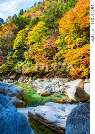 秋の阿寺渓谷 118199394